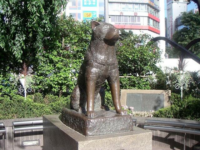 памятник собаке в Токио